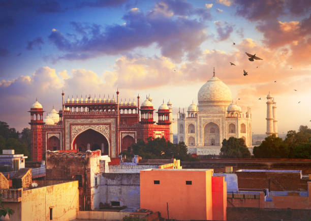 Expert Guided Tours